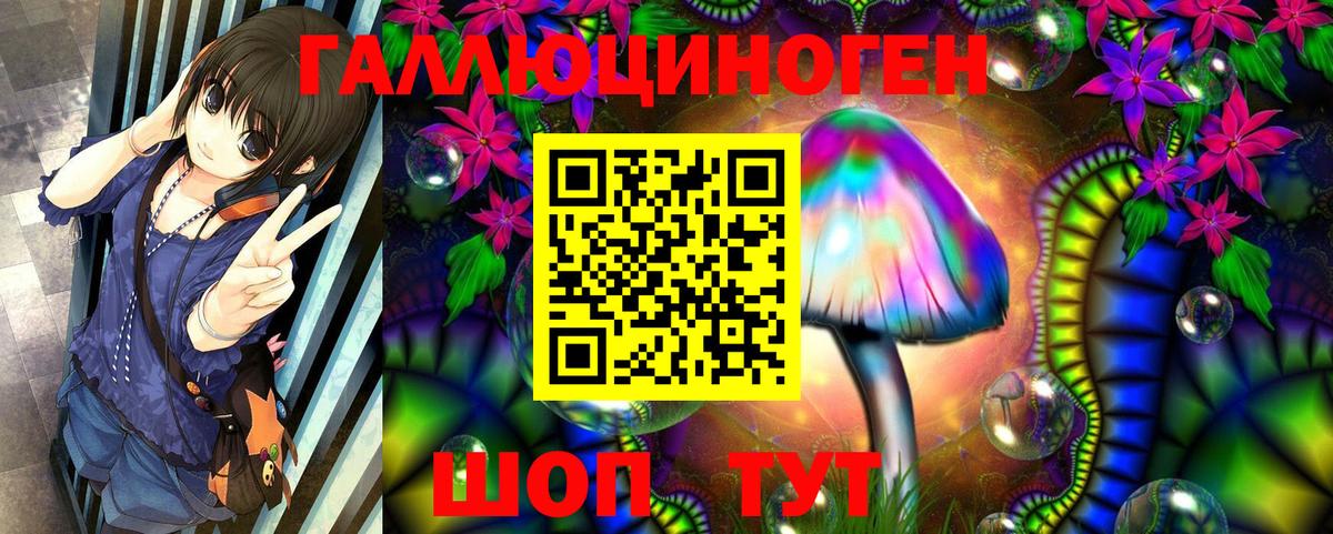 Галлюциногенные грибы Psilocybine cubensis Жигулёвск