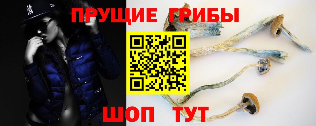 Галлюциногенные грибы мицелий  Галлюциногенные грибы Cubensis  Жигулёвск  Вход с VPN 